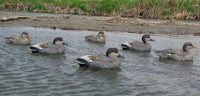 Dakota Xtreme Gadwall Decoys